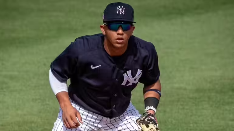 oswald-peraza-new-york-yankees