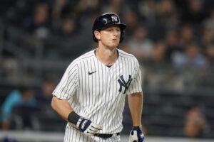 dj-lemahieu-ny-yankees