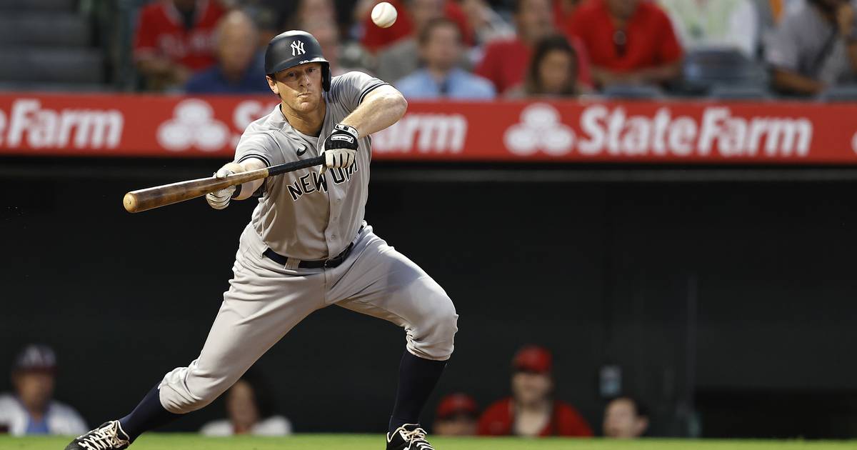 dj-lemahieu-ny-yankees