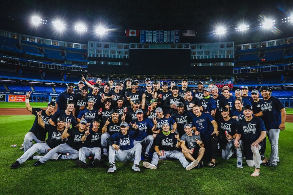 Yankees AL East Champions 2019, Banner