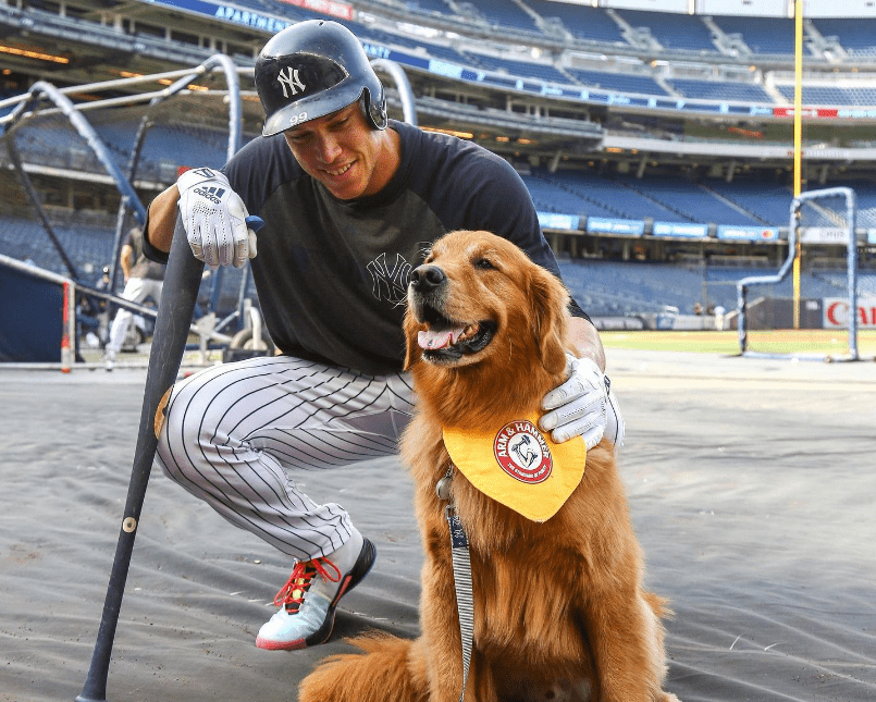 Bat dog visits Yankee Stadium