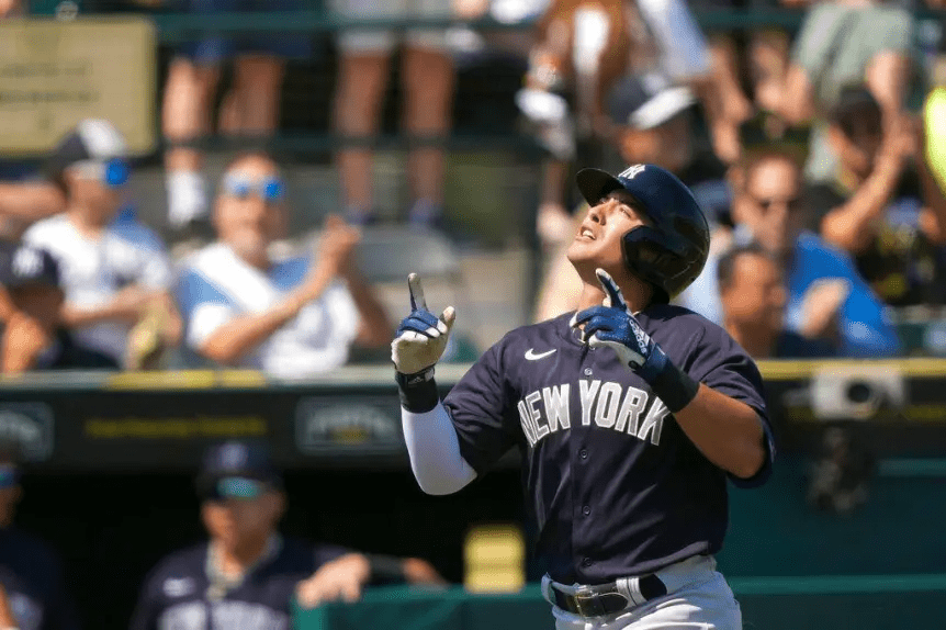 Little League team goes nuts for a FaceTime from Yankees' Aaron Judge