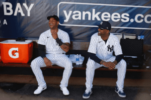 Aaron Hicks of the New York Yankees at Yankee Stadium during a game in 2023.