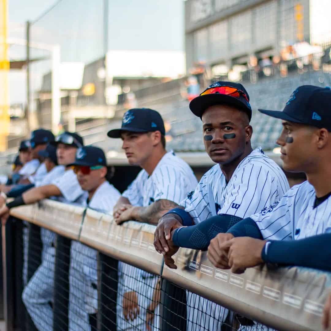 2023 New York Yankees Roster - MLB Players 