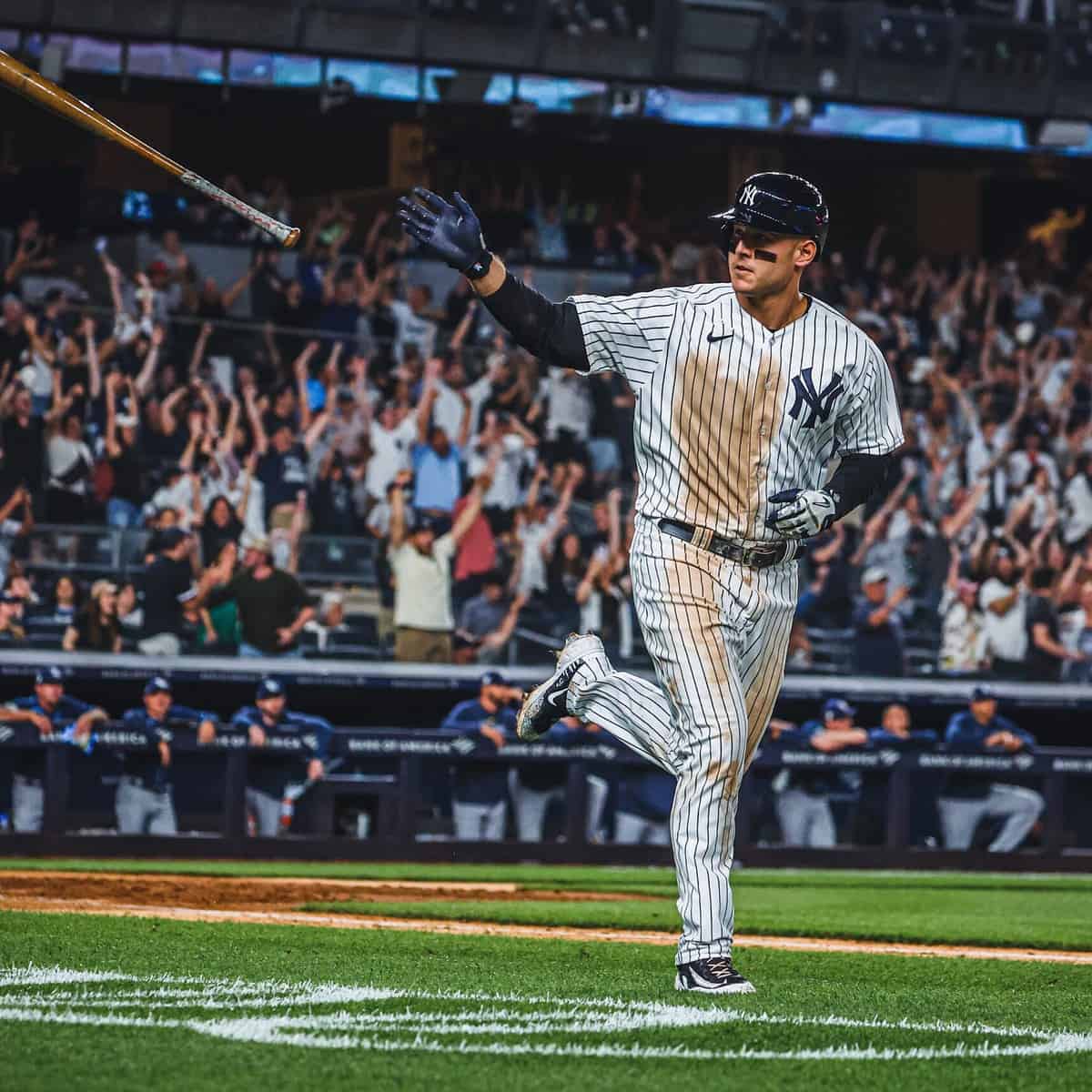 Rizzo hits his 1st HR since May 20 and goes 4 for 4 as the Yankees