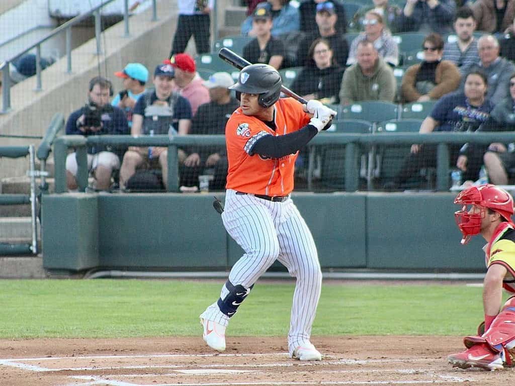 Jasson Dominguez hit a home run for the Patriots at TD Ballpark.