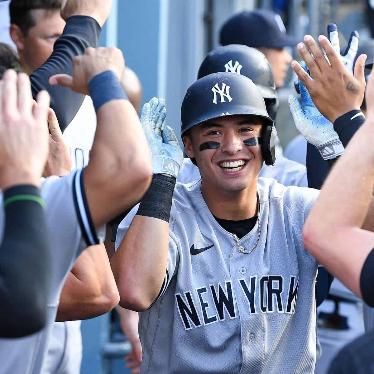 Talkin' Yanks] The many batting stances of the 2022 New York