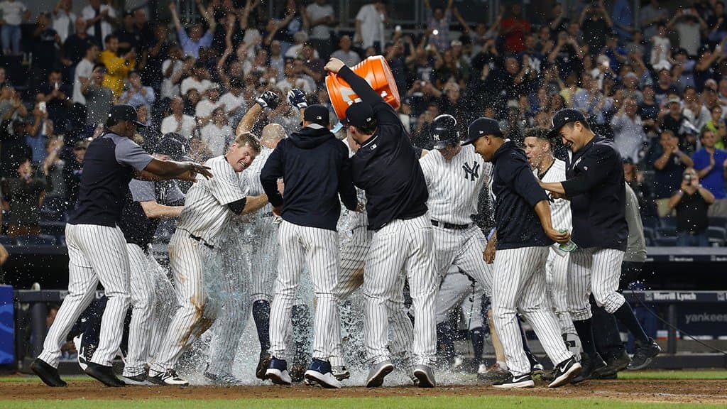 New York Yankees' player celebrating during a match in MLB.