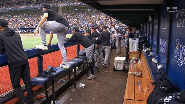 New York Yankees and Tampa Bay Rays benches clear on Aug 27, 2023, at Tropicana.