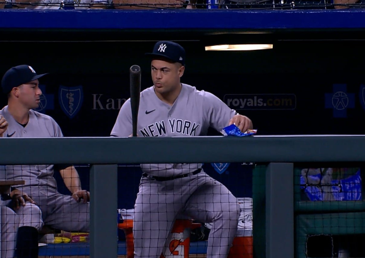 Giancarlo Stanton catches Matt Duffy's flying bat that went into the Yankees dugout at Kauffman Stadium on September 29, 2023.