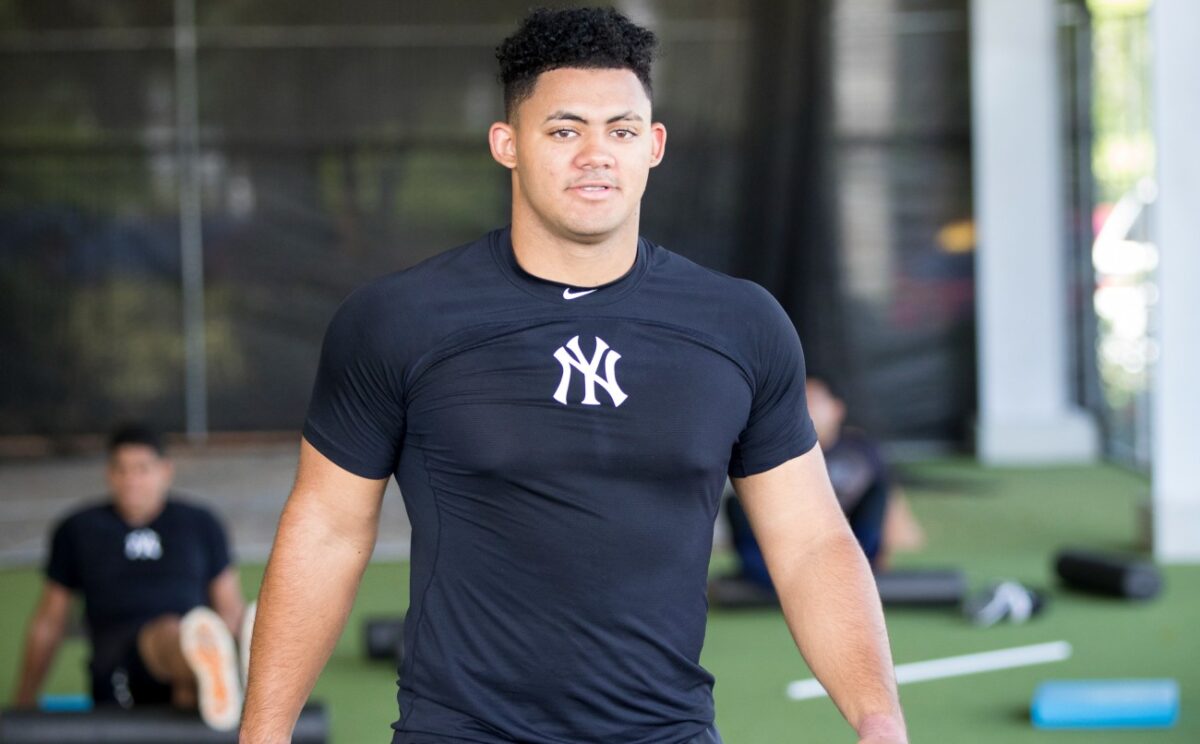 Jasson Dominguez, Yankees' prospect of the new york yankees