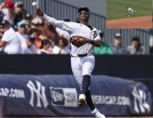 Yankees' Jeter Downs shows Derek Jeter-like defense against the Tigers on March 3, 2024.