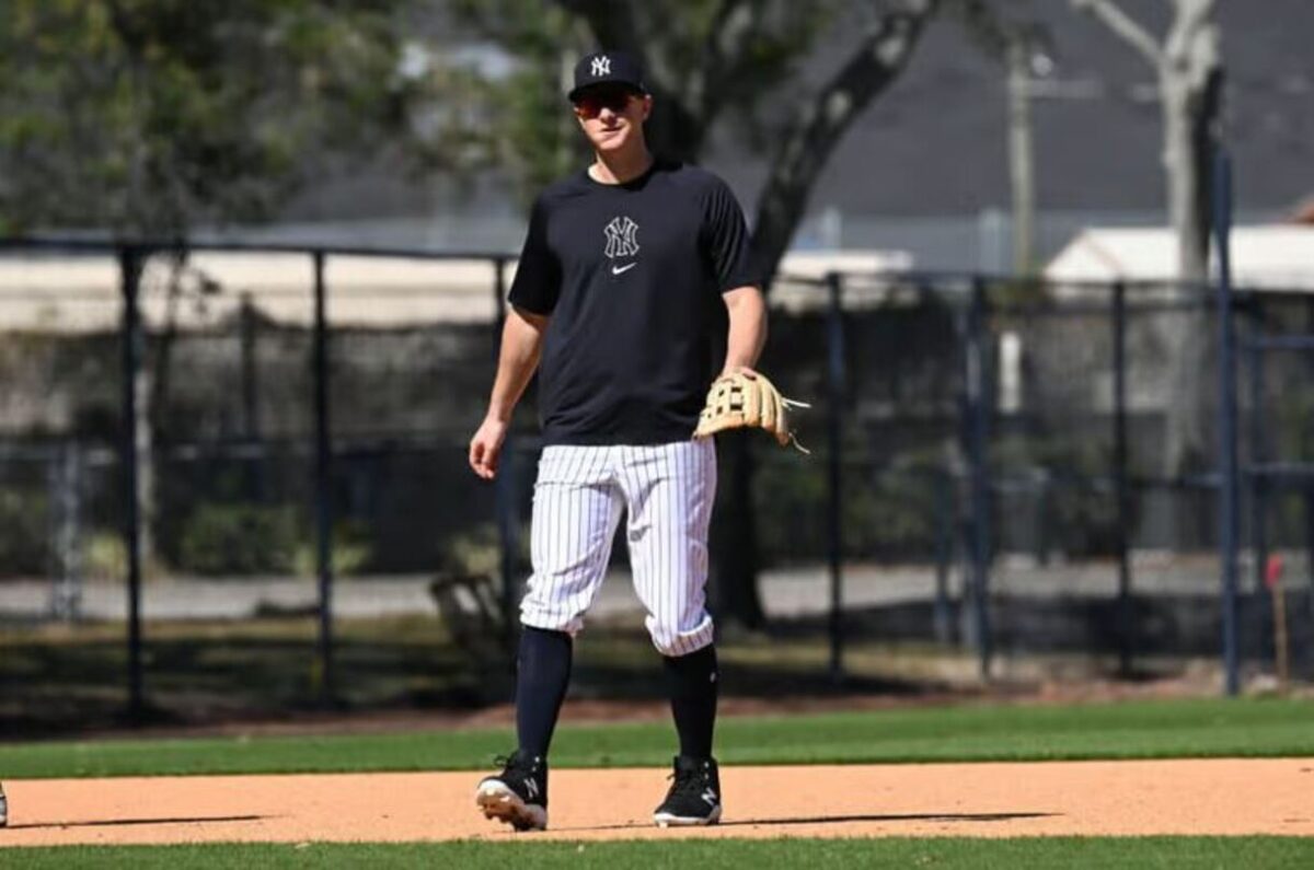 dj-lemahieu-new-york-yankees