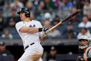 DJ LeMahieu, player of the new york yankees