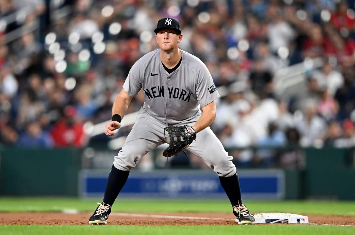 DJ LeMahieu, pictured, is unlikely to return for the ALDS, alongside Anthony Rizzo, according to recent reports