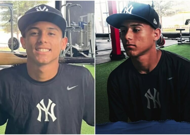 albert-mejias-new-york-yankees