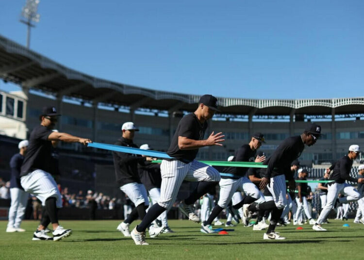 spring-training-new-york-yankees