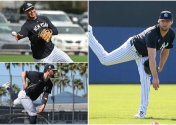 cole-rodon-volpe-new-york-yankees