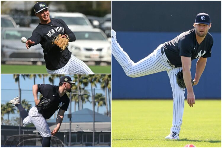 cole-rodon-volpe-new-york-yankees