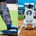 Yankees catcher J.C. Escarra gets a tattoo of his first MLB start behind the plate, a permanent tribute to his remarkable road to the Bronx.
