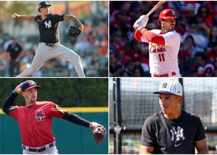 prospect-new-york-yankees