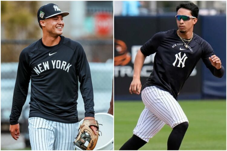 volpe-cabrera-new-york-yankees