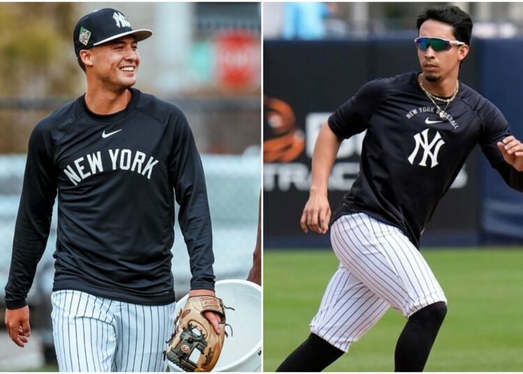 volpe-cabrera-new-york-yankees
