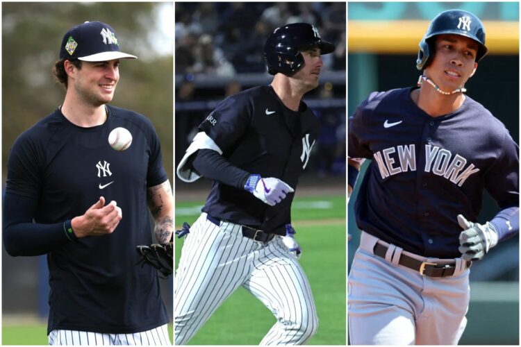 cam-cody-cabrera-new-york-yankees