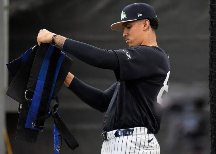 Yankees pitching prospect Carlos Lagrange's fastball has touched 102 mph.