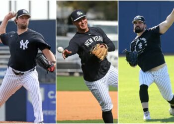 gole-rodon-volpe-new-york-yankees