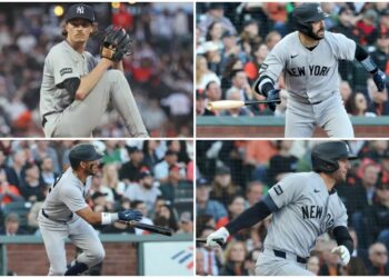 max-mcmahon-wells-jose-new-york-yankees