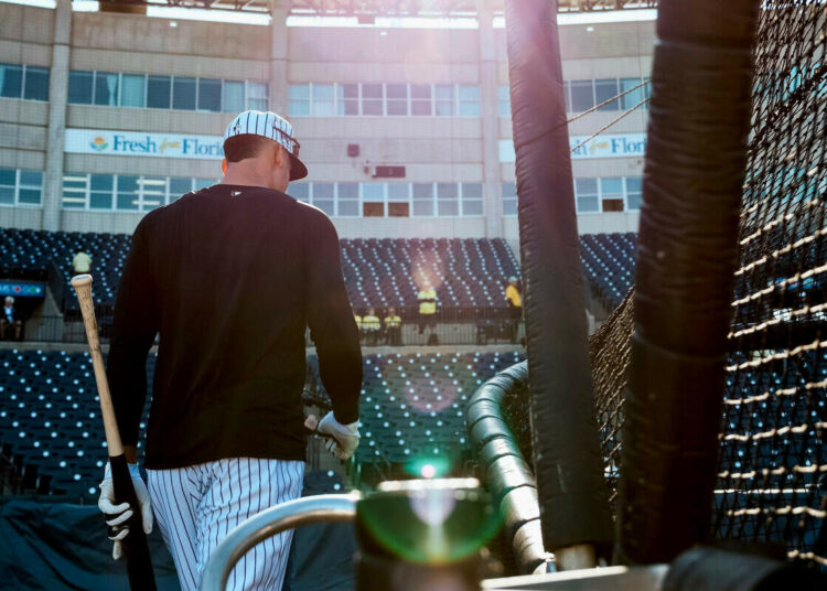 prospects-new-york-yankees