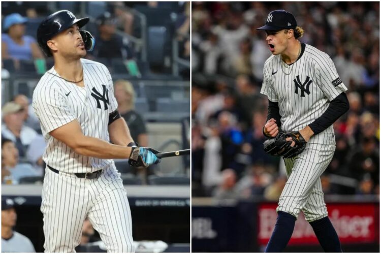 stanton-schittler-new-york-yankees