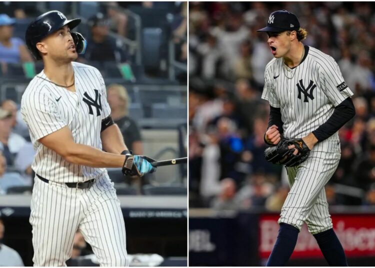 stanton-schittler-new-york-yankees
