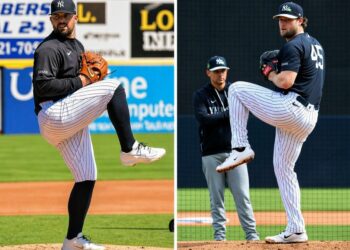 The Yankees' pitching stars Gerrit Cole and Carlos Rodon are scheduled to start for the Hudson Valley Renegades on Apr 23 and 24, 2026.