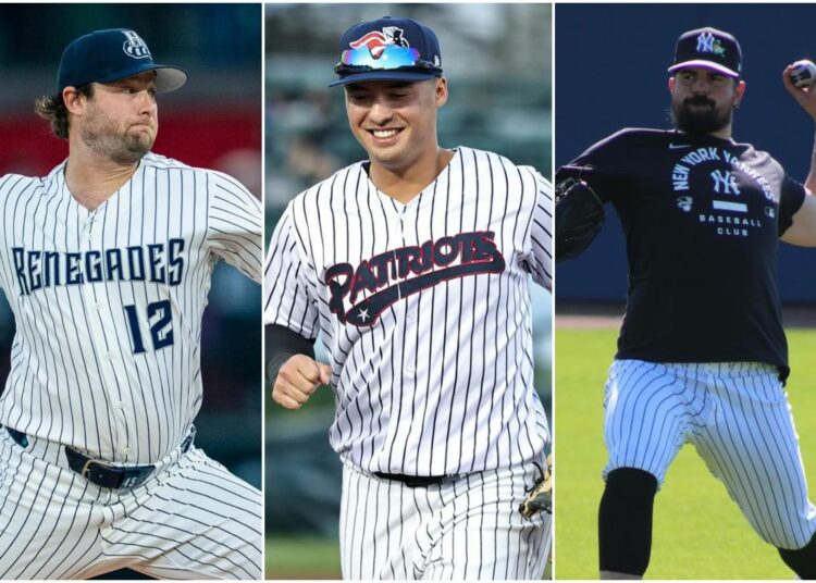 cole-volpe-rodon-new-york-yankees