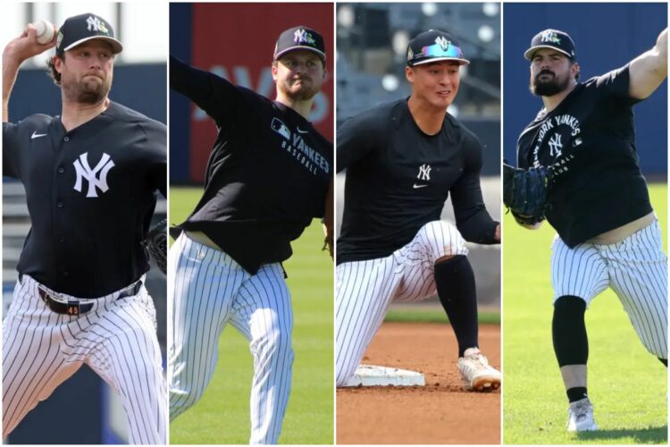 cole-volpe-rodon-schmidt-new-york-yankees