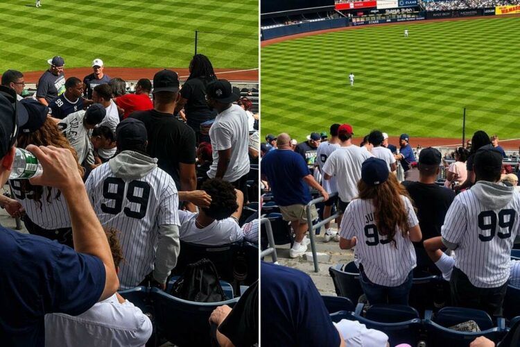 fans-new-york-yankees