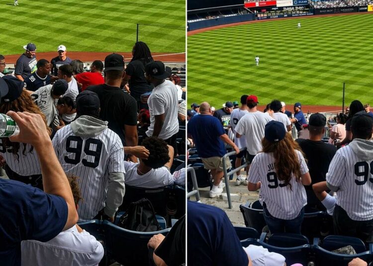 fans-new-york-yankees