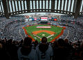 fans-stadium-new-york-yankees