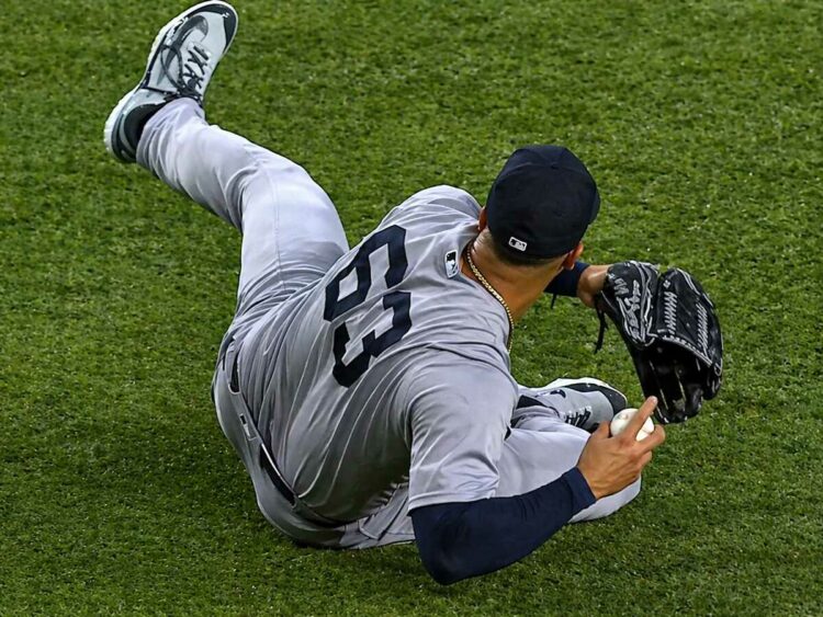 fernando-cruz-new-york-yankees
