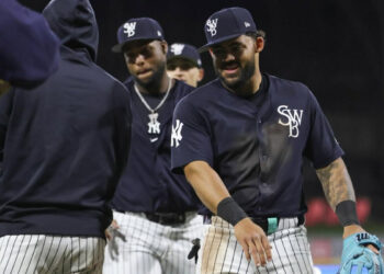 jasson-dominguez-new-york-yankees