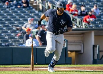 jasson-dominguez-new-york-yankees