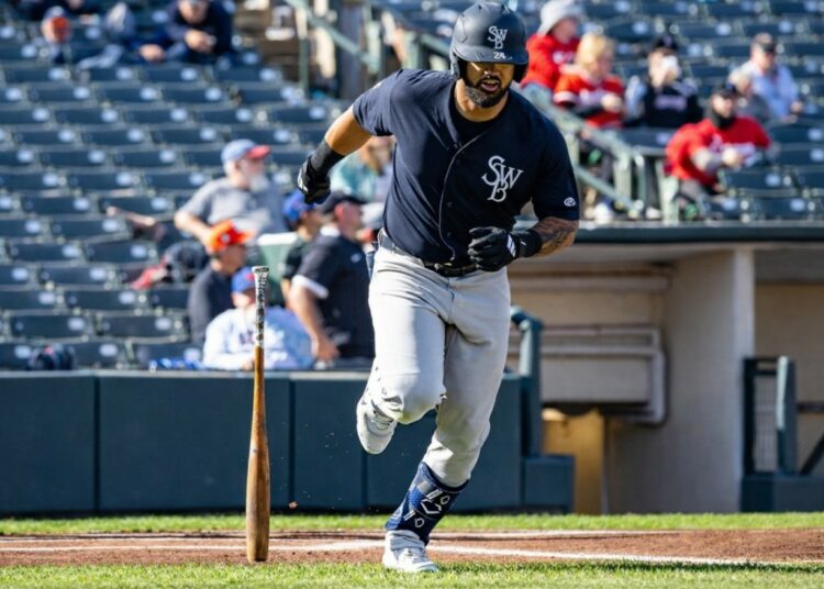 jasson-dominguez-new-york-yankees