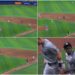 jazz-chisholm-new-york-yankees