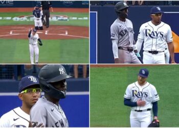 jazz-rasmussen-new-york-yankees