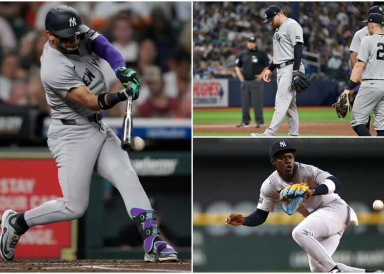 jose-bedner-jazz-new-york-yankees