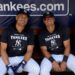 stanton-volpe-new-york-yankees