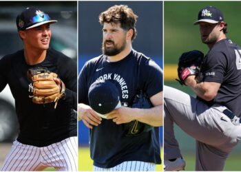 volpe-rodon-cole-new-york-yankees