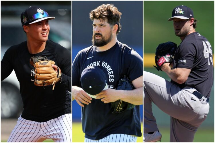 volpe-rodon-cole-new-york-yankees